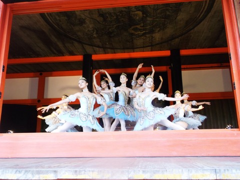 DSCF6490
