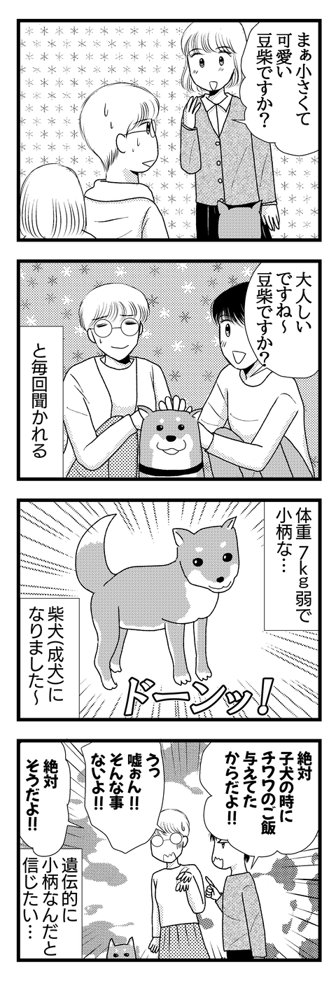 さくら005