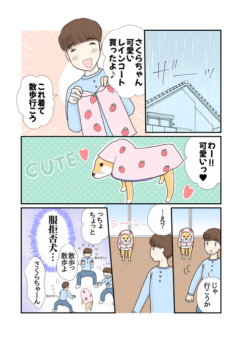 柴犬009