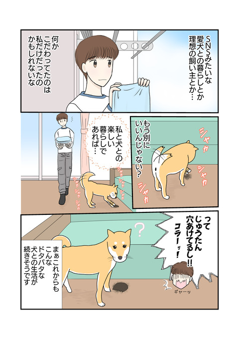 柴犬019