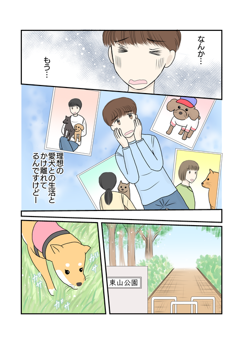 柴犬010