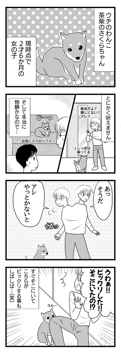 さくら000
