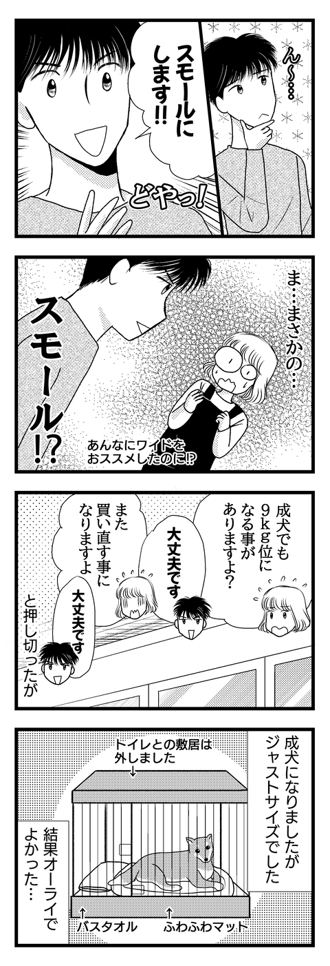 さくら002