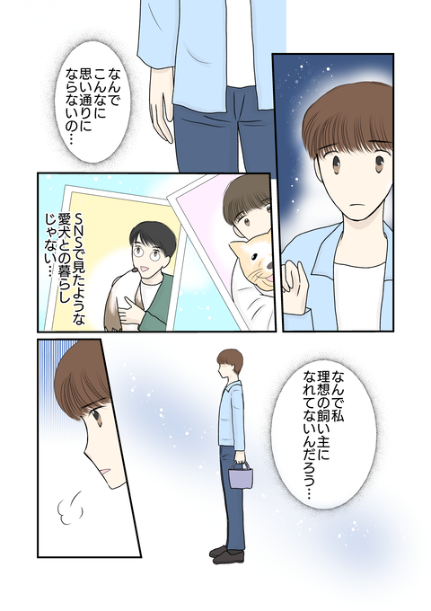 柴犬013