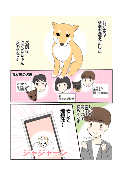 柴犬001
