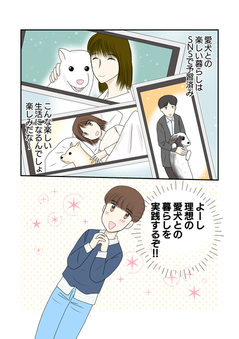 柴犬002