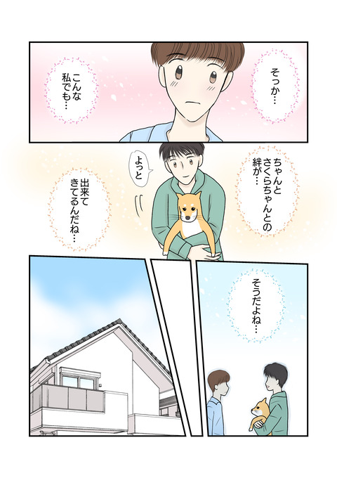 柴犬018