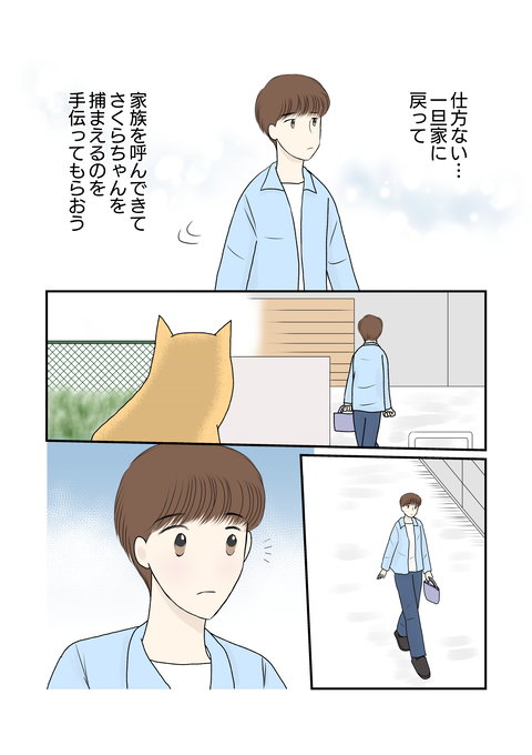 柴犬014
