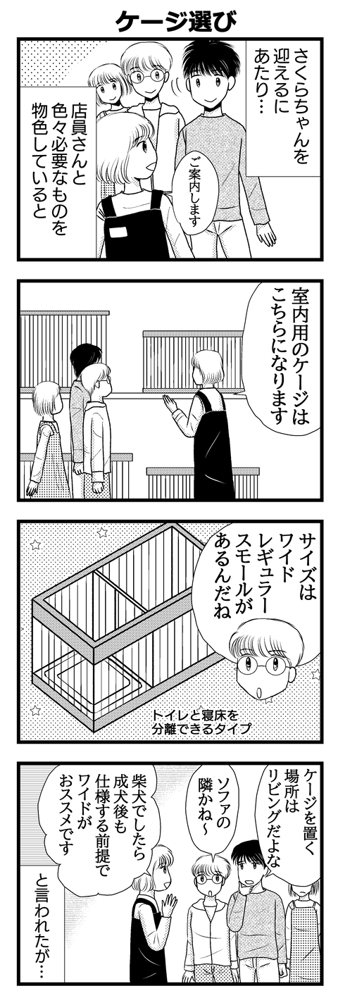 さくら001