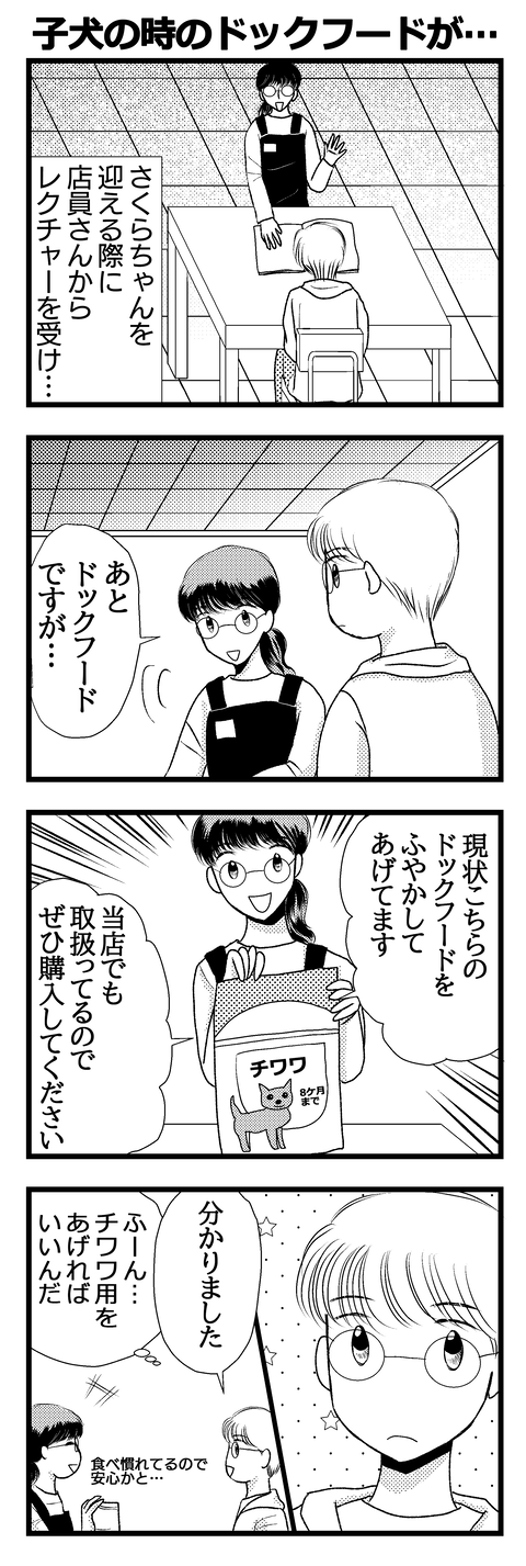 さくら003