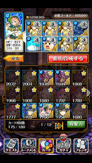 リィル最終進化1
