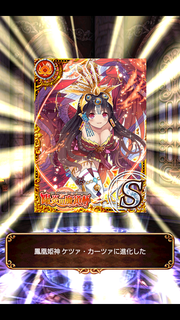 ケツS進化