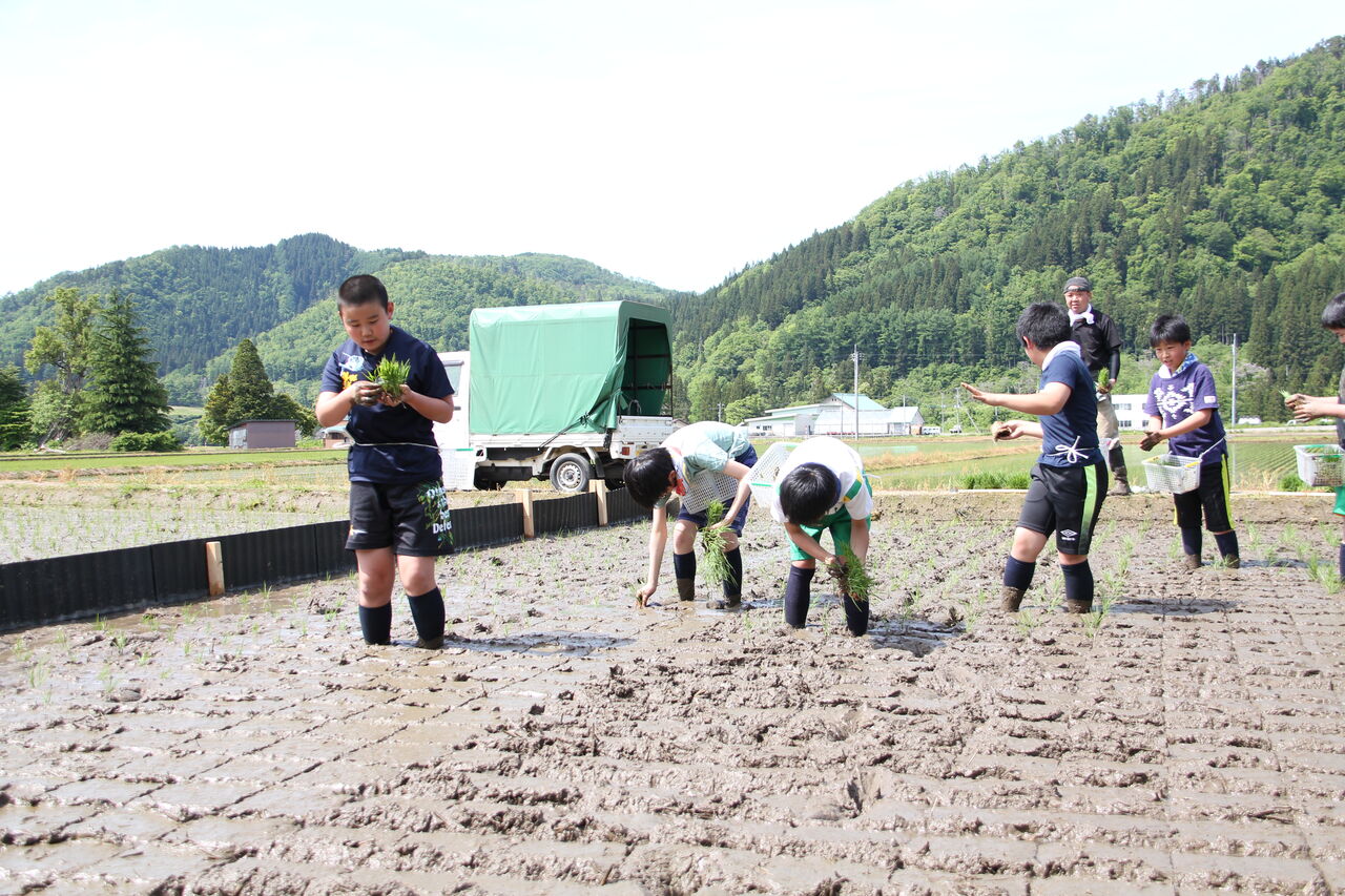 泥んこ!気持ち良い! : -気づく!感じる!行動する議会をめざして!-