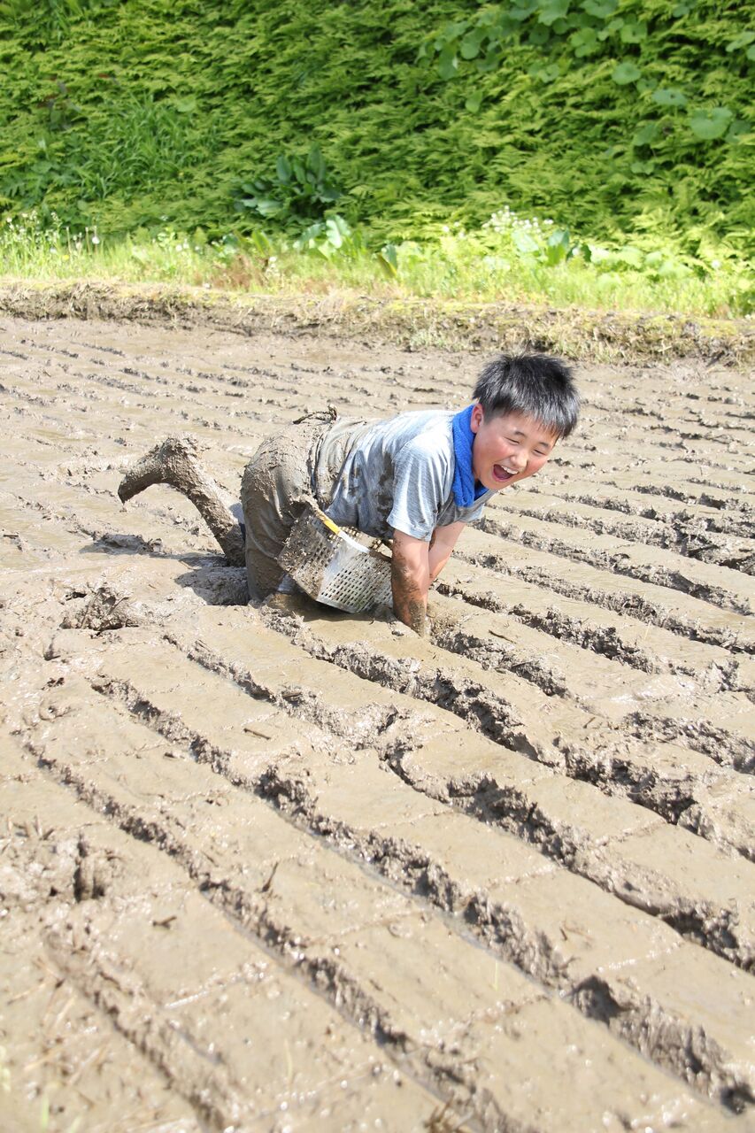 泥んこ!気持ち良い! : -気づく!感じる!行動する議会をめざして!-