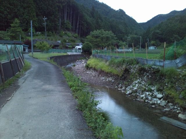 幻想の ホタルの里 In熊野 大井谷 東紀州情報発信ブログ