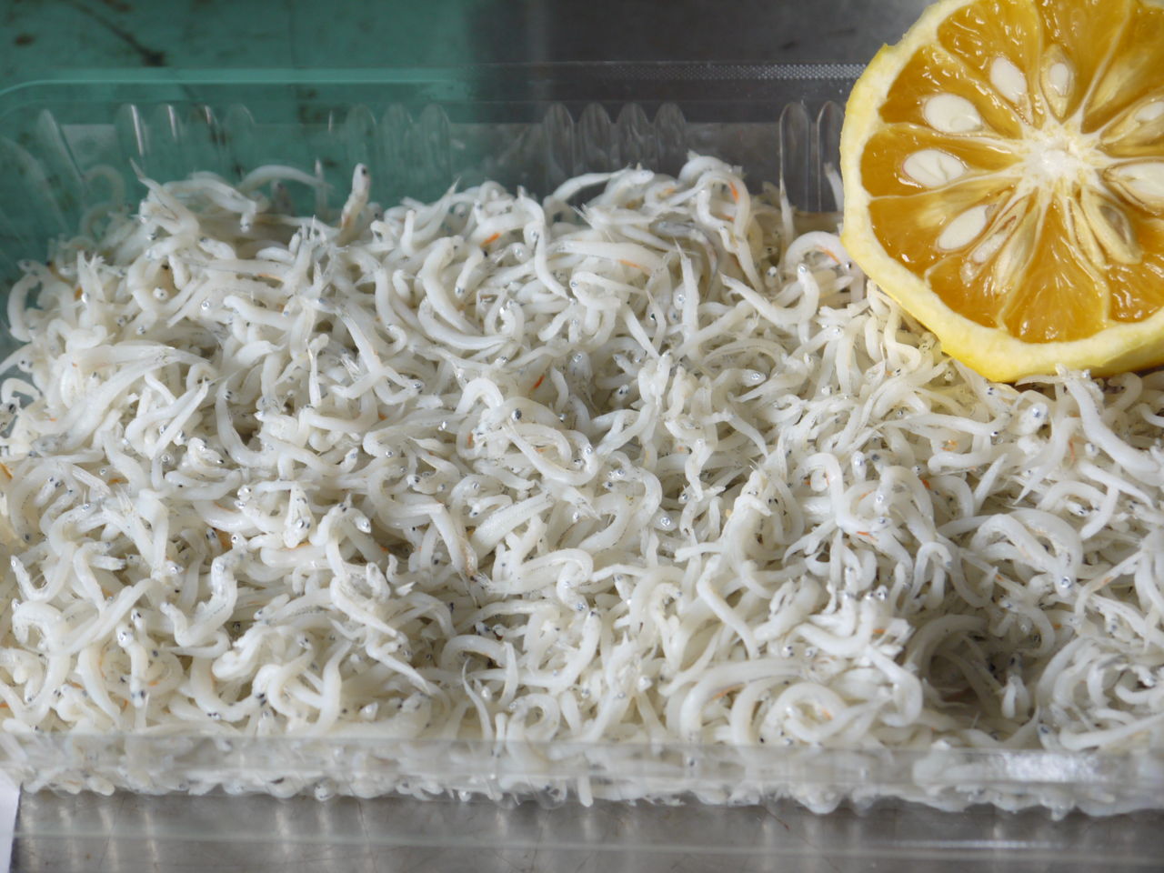 こだわり完全無添加しらす 東紀州情報発信ブログ