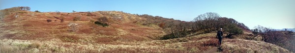 DSC_0630-PANO