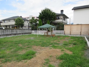 IMG_1874