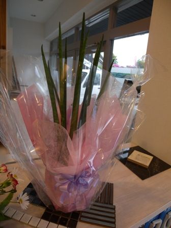 2010041220460731827.jpg