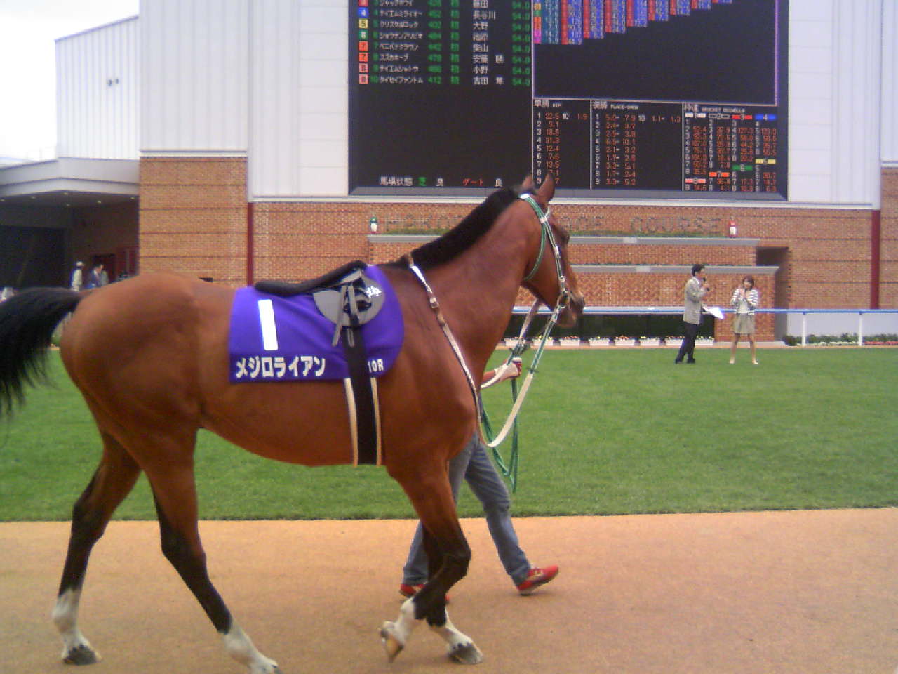 メジロライアンとオグリキャップ : ヒゲイシの静かな日常