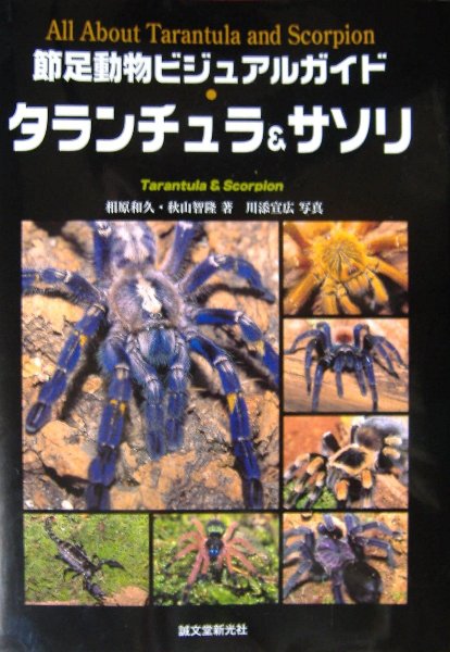 洋書　GUIDE DES MYGALES タランチュラなど 洋書 GUIDE DES MYGALES タランチュラなど - メルカリ