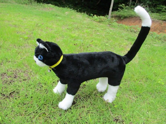 ペルソナ５ モルガナ ぬいぐるみ ヒゲタス衣装