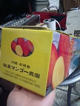 マンゴーーー!