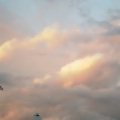 フィッシュマンズ空