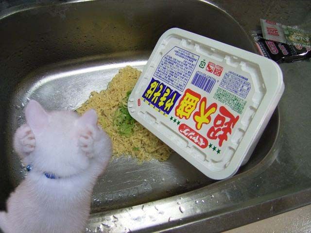 オーマイガッ 釣って釣られて