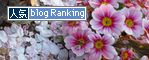 クリックして「人気ブログランキング」へ