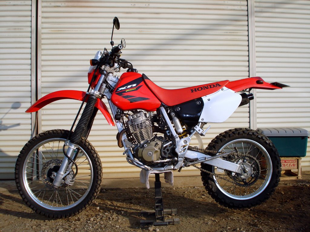 倒立至上主義 Minimxerとの生活 Xr Livedoor Blog ブログ