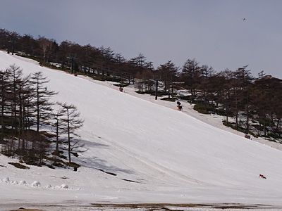 0401高峰2
