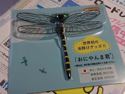 0702オニヤンマ君
