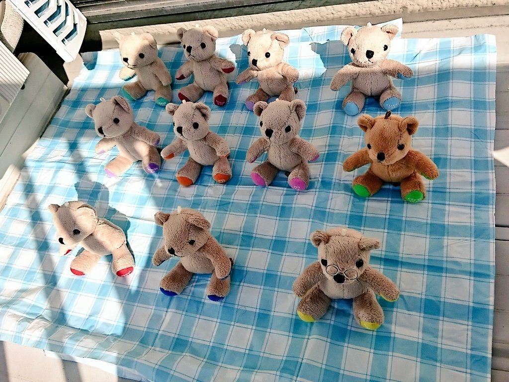 くまプリ日誌 初めてのお風呂編 ハイツムさんちの作業部屋 くまプリ日誌 初めてのお風呂編 ハイツムさんちの作業部屋