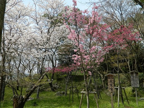 DSCN2757