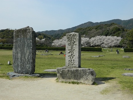 DSCN2776