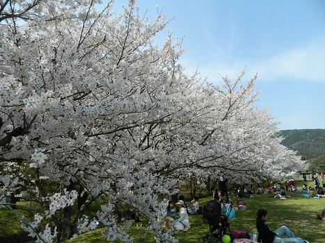 DSCN2774