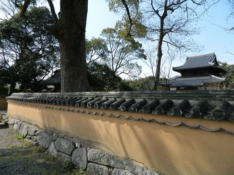 DSCN2802