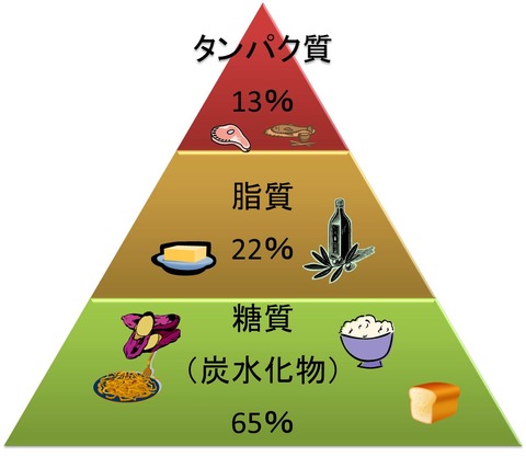 栄養摂取(従来)