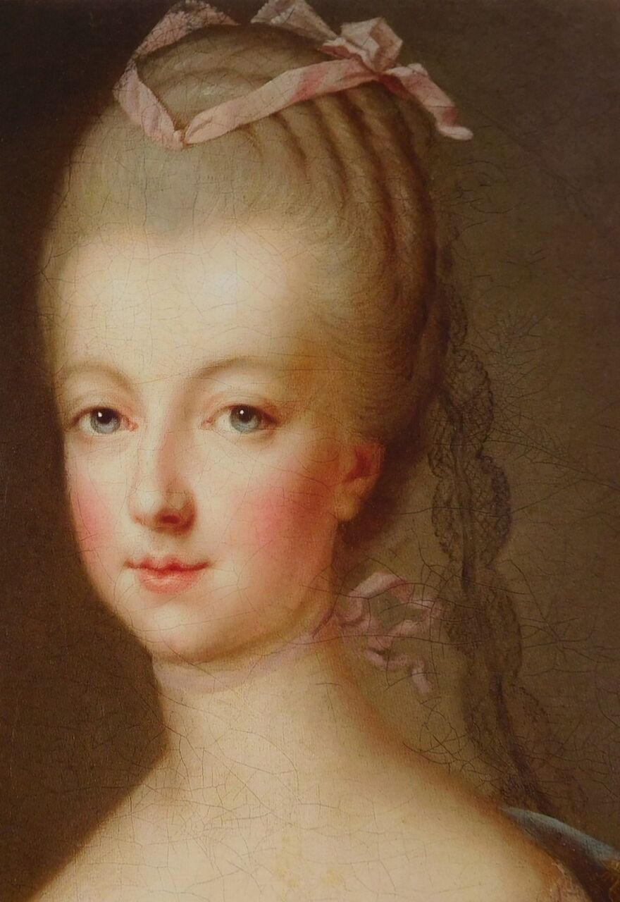 ルイ１６世と結婚が成就するまで : サロン・マリー・アントワネット