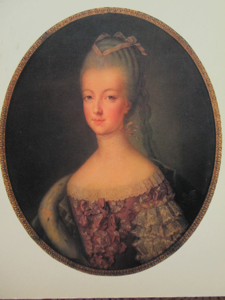 ルイ１６世と結婚が成就するまで サロン マリー アントワネット