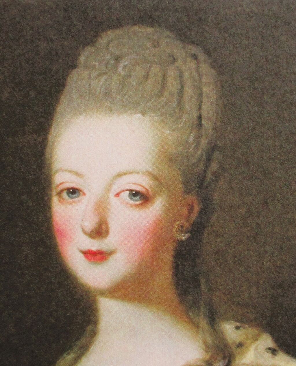 マリー・アントワネットの肖像 フランス派 2枚 : サロン・マリー