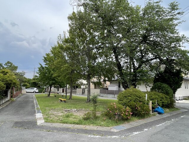 2021-06-03 12.24.22