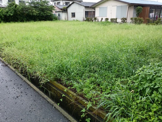亀里 福伊地