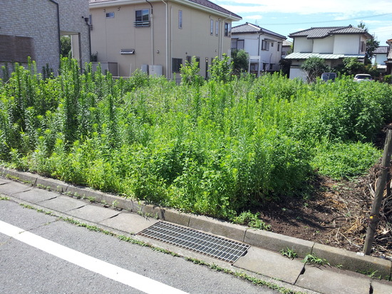 文京 萩原地主 星野