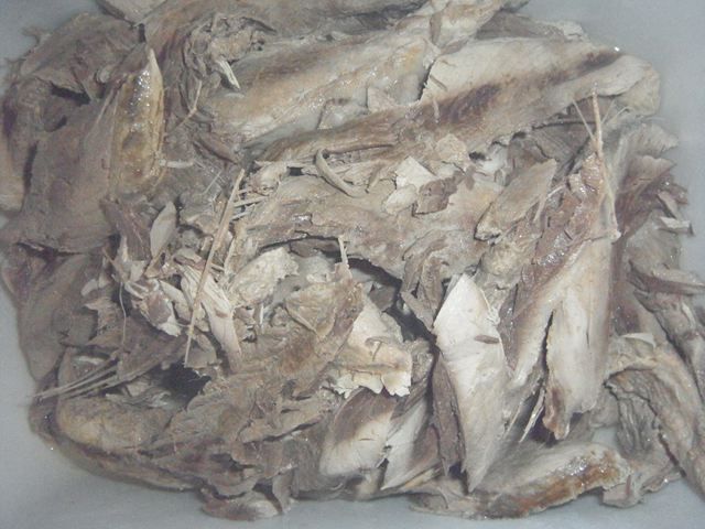 霊能力について お昼寝ごろにゃん島より かいてつす 地球を救う