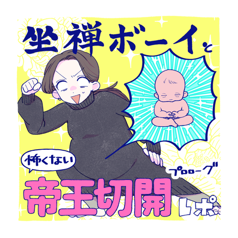 帝王切開レポ表紙0