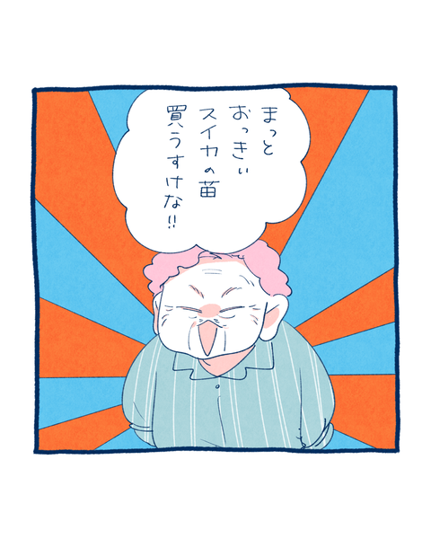 2025夏、大婆7