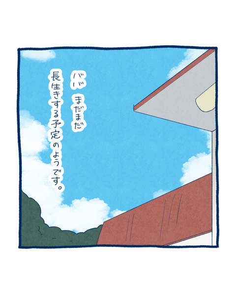 2025夏、大婆9