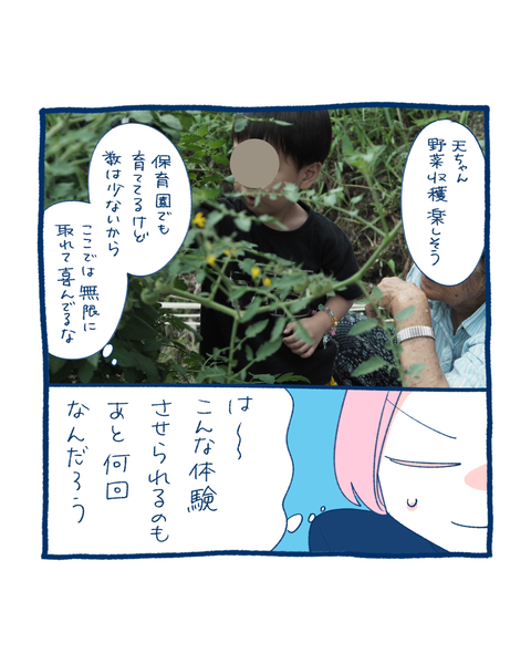 2025夏、大婆5